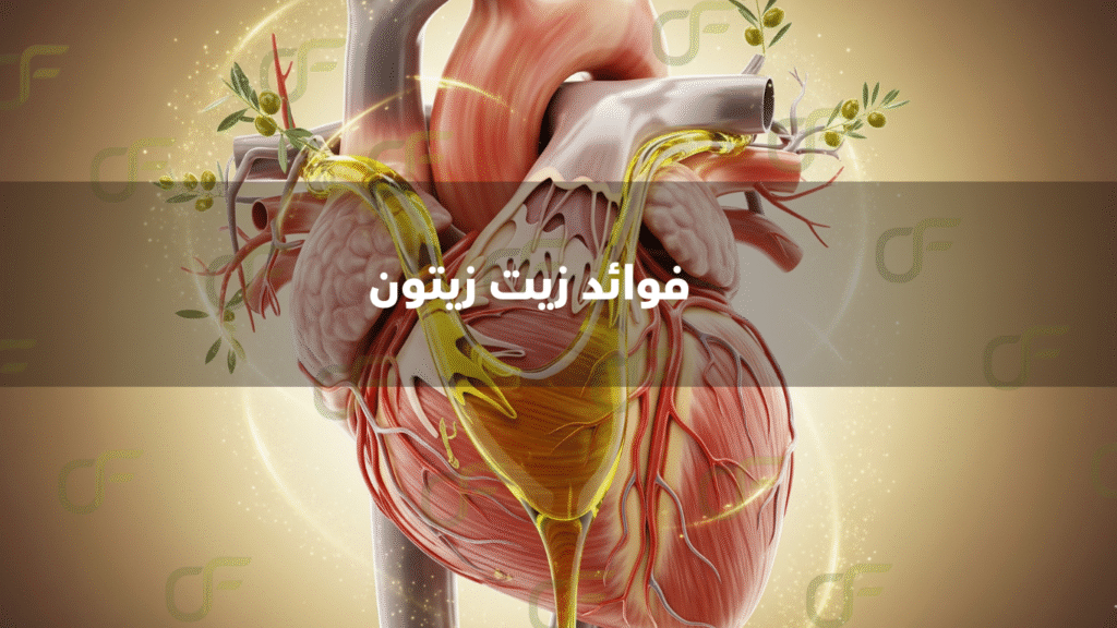 فوائد زيت زيتون